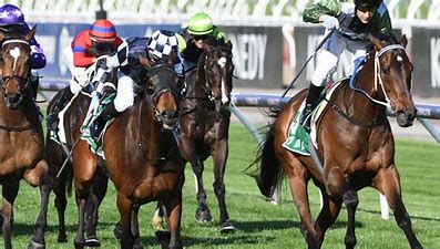 Incentivize wins the Caulfield Cup earlier this year